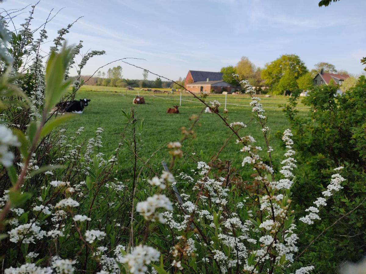 Cosyplace; Close To Beach, Nature, Train, Grocery Kopingebro Bagian luar foto